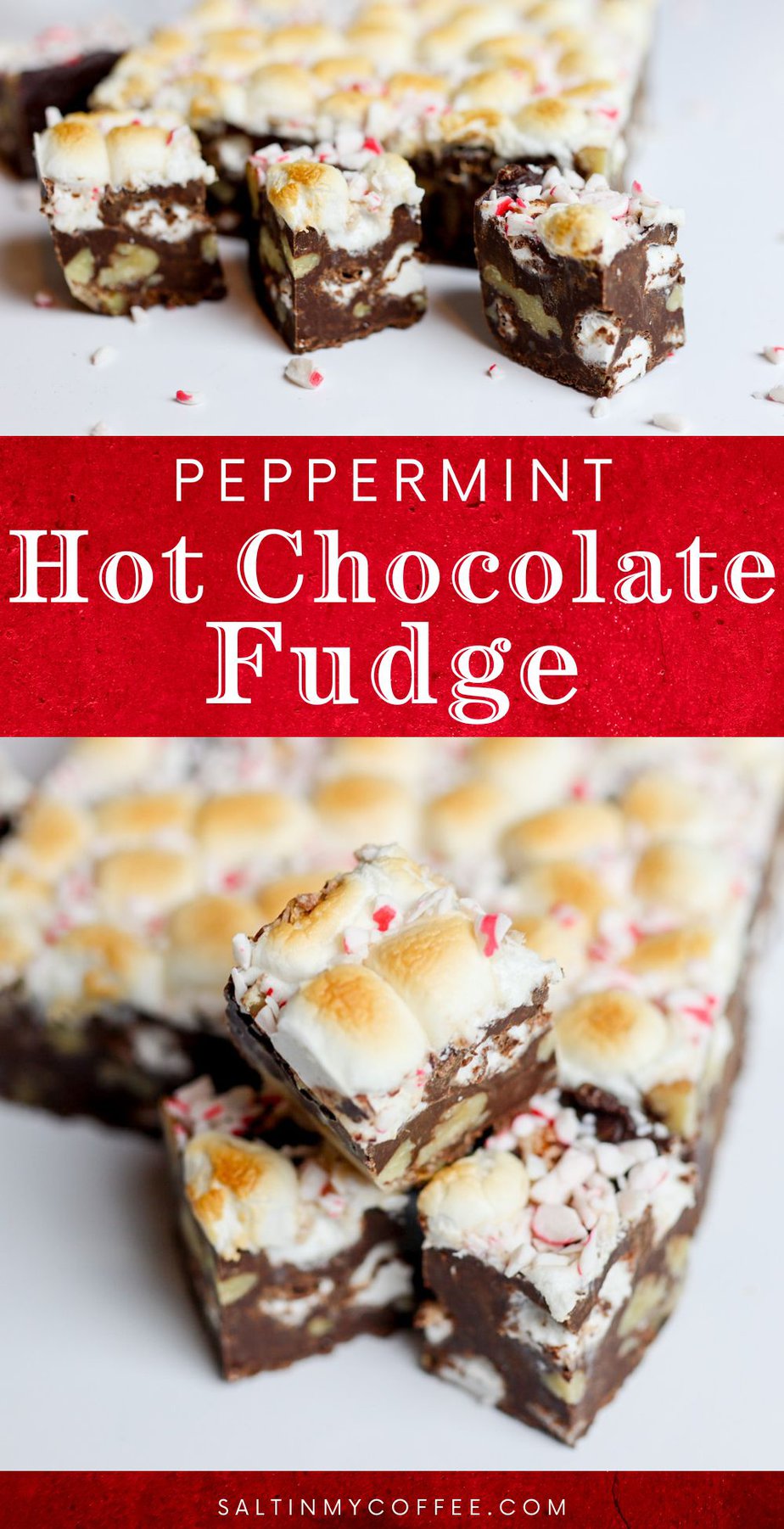Coop's Peppermint Hot Fudge, All Natural Peppermint Hot Chocolate Gift Non GMO Chocolate Ice Cream Toppings Sundae Desserts, 10 oz