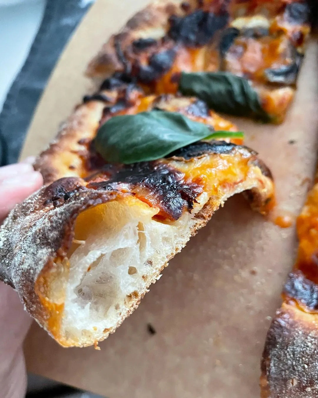 Bertello Neapolitan Style Premium Pizza Dough - 16 oz each - Pack of 10 Frozen Pizza Dough - Makes 20 of 12” Pizzas