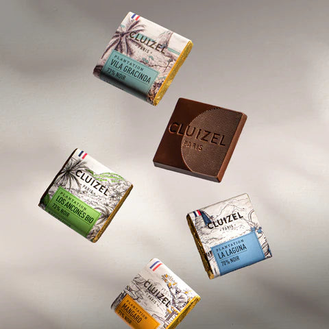 Cluizel French Chocolate Estate Tasting Squares