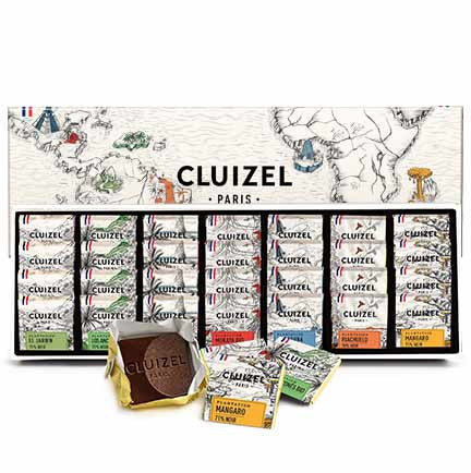 Cluizel French Chocolate Estate Tasting Squares, Assorted Dark - includes 400