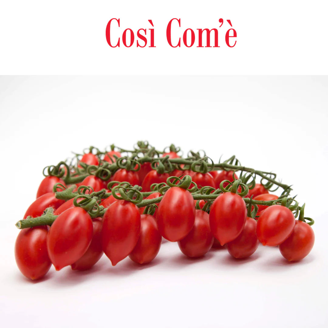Così Com'è Italian Datterino Red Tomatoes Unpeeled in Water, Low-acid, No additives, No preservatives, 100% Natural, Non-GMO, Product of Italy - Pack of 3
