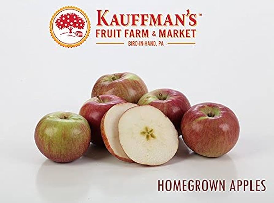 Kauffman Orchards Simply With Sugar and Cinnamon Applesauce, No Sugar Added, Made in Small Batches, 17 oz - Pack of 2