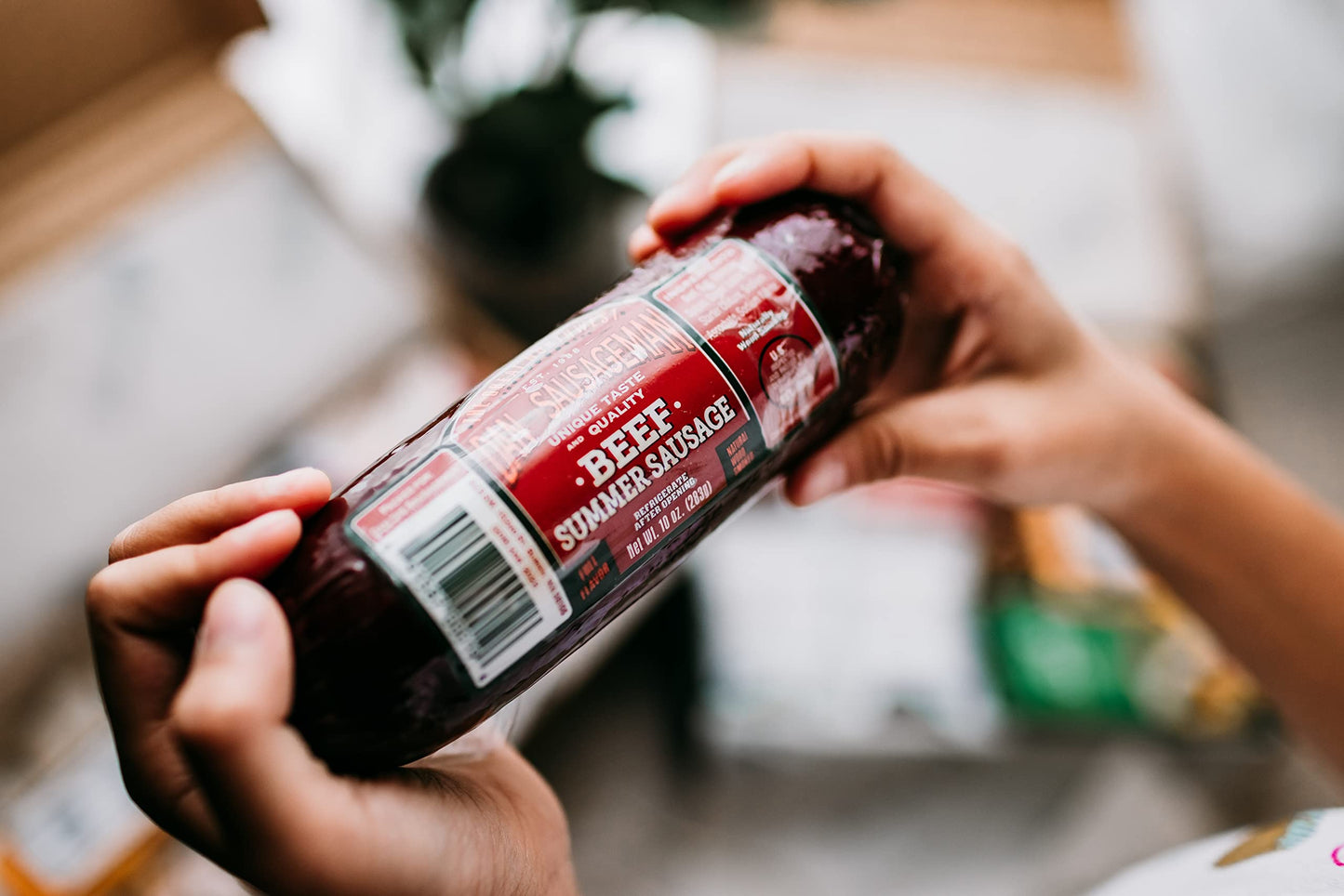 Nordic Fusion Sausage and Cheese Sampler - Scandinavian Delights Lingonberry, Smoked Summer Sausages and Specialty Mustards