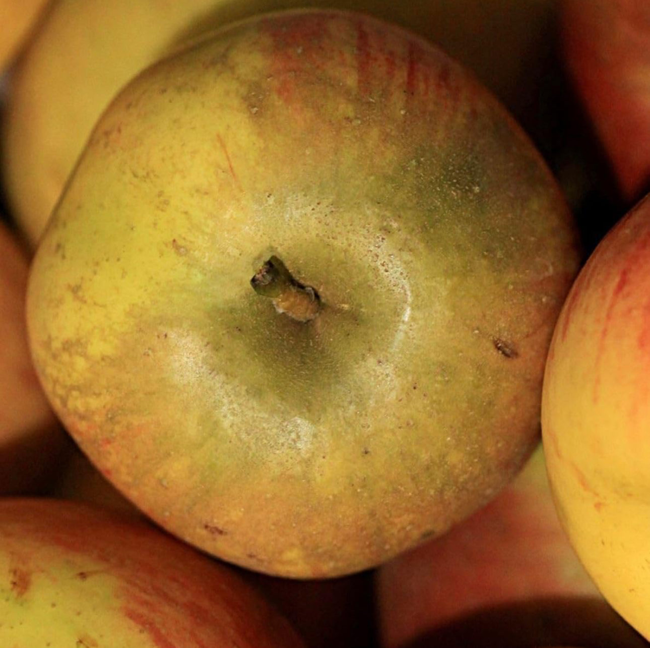 Alain Milliat Cloudy Cox Apple Juice, 11.2 Fl Oz Glass Bottle, GMO-Free Apples, Imported from France - 12/Case