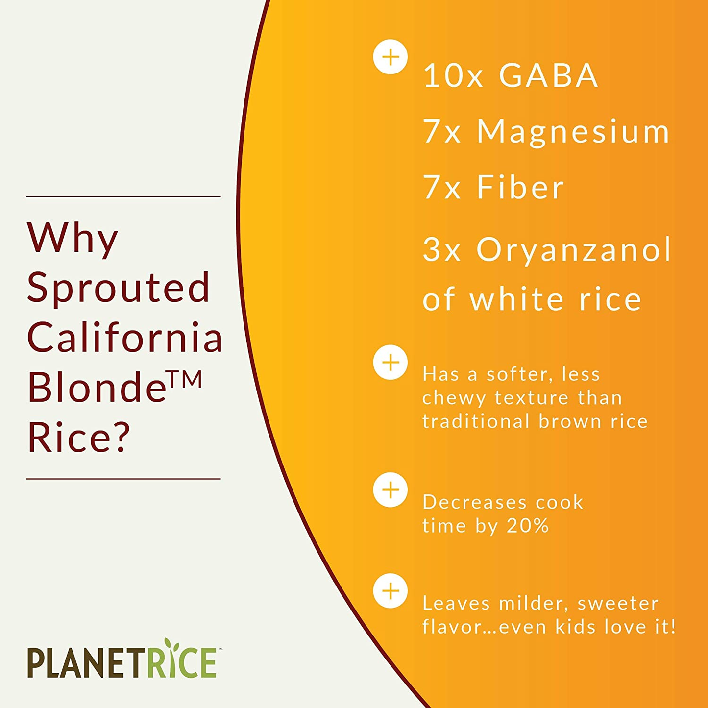 Planet Rice Sprouted California Blonde Rice - Gaba Rice Gluten Free, Vegan, Paleo - Pack of 6