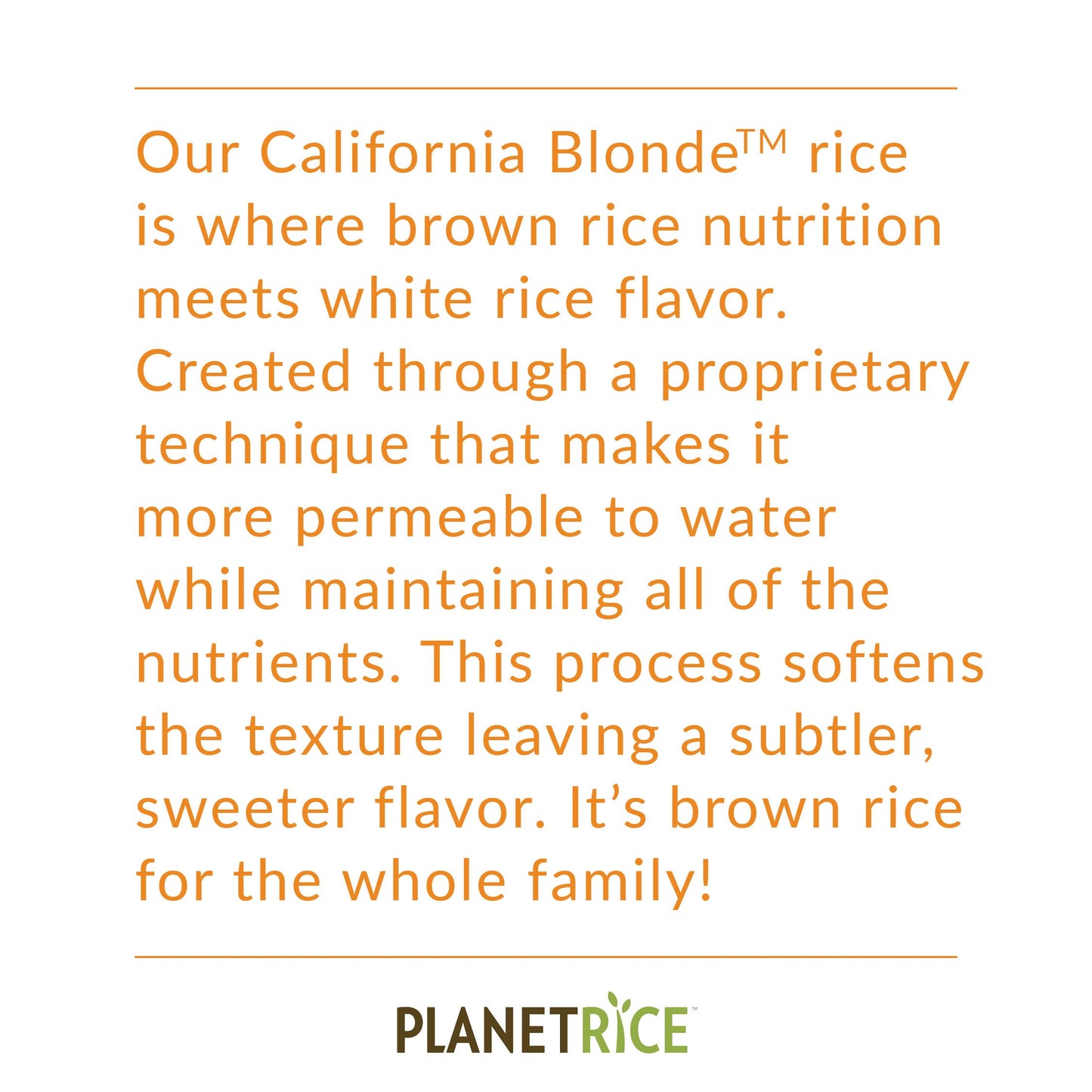 Planet Rice Sprouted California Blonde Rice - Gaba Rice Gluten Free, Vegan, Paleo - Pack of 6