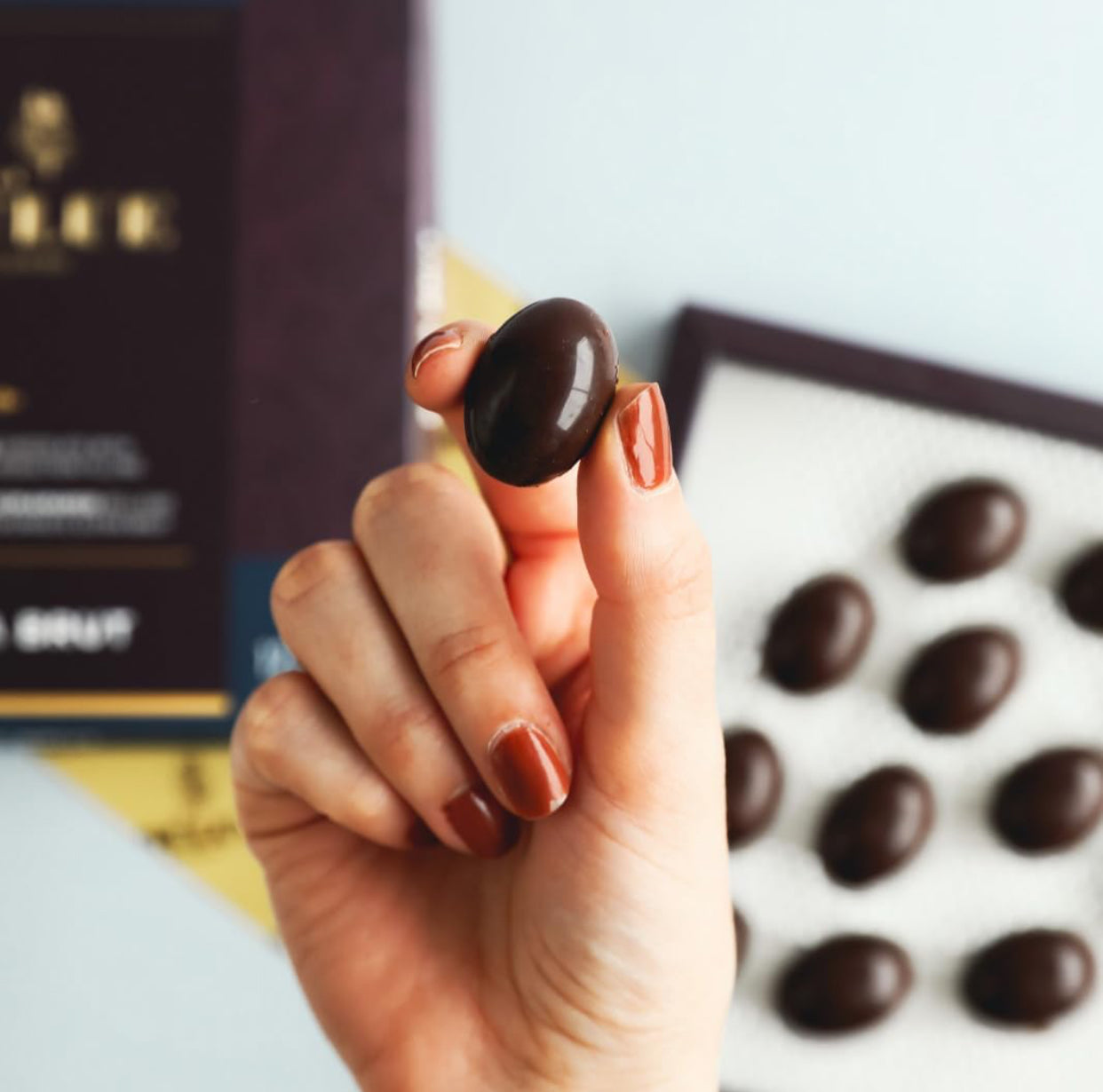 LA GOULUE CHOCOLATIER - Gourmet Dark Chocolate Filled with Wine Varietals – Cabernet Sauvignon, Malbec and Champagne-Sparkling wine Infused Artisan Chocolates - 3 Boxes