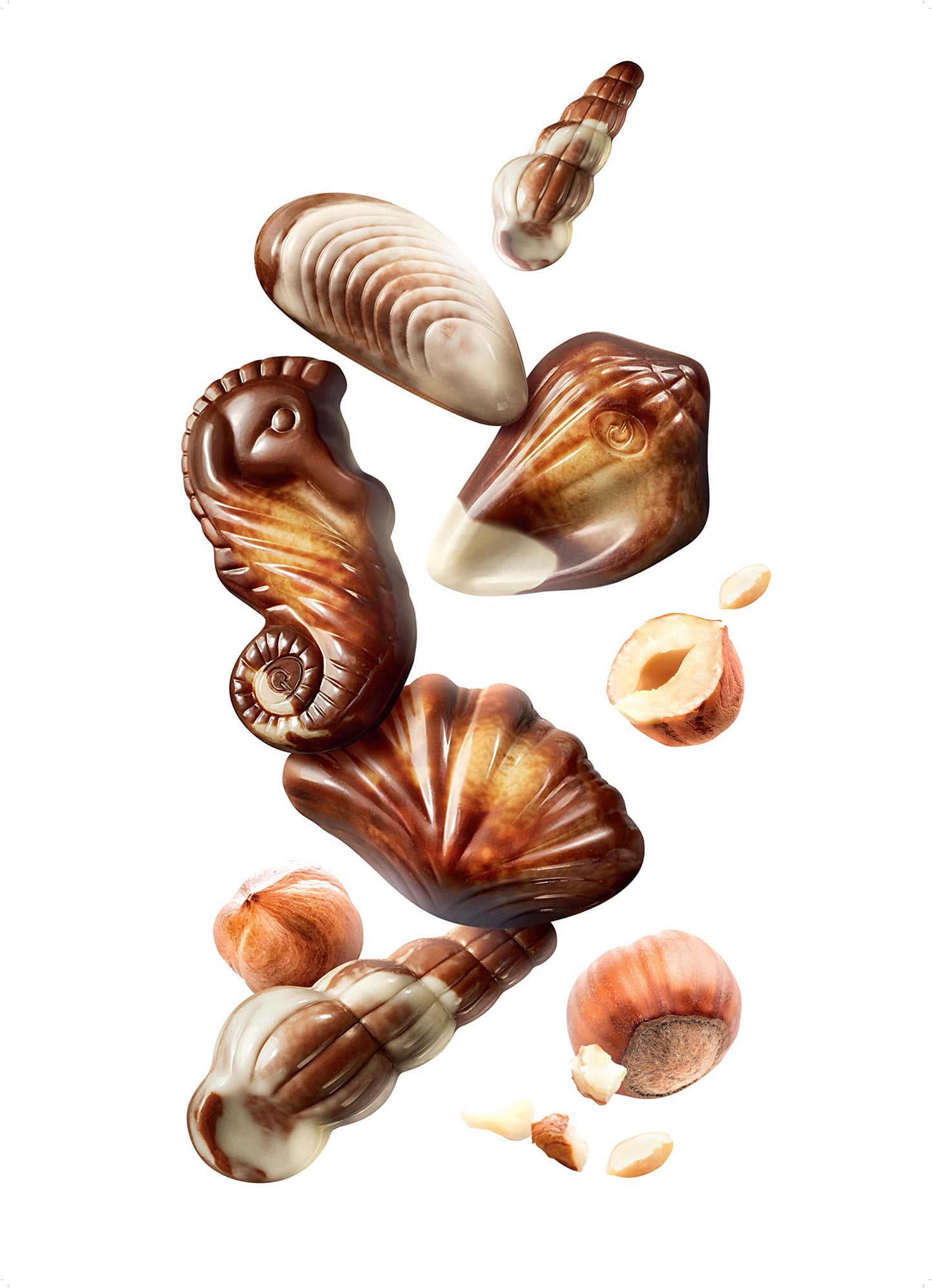 GuyLian Belgian Chocolate Seashells Gift Box - 22 Pieces - Milk Chocolate with Hazelnut Praliné Filling