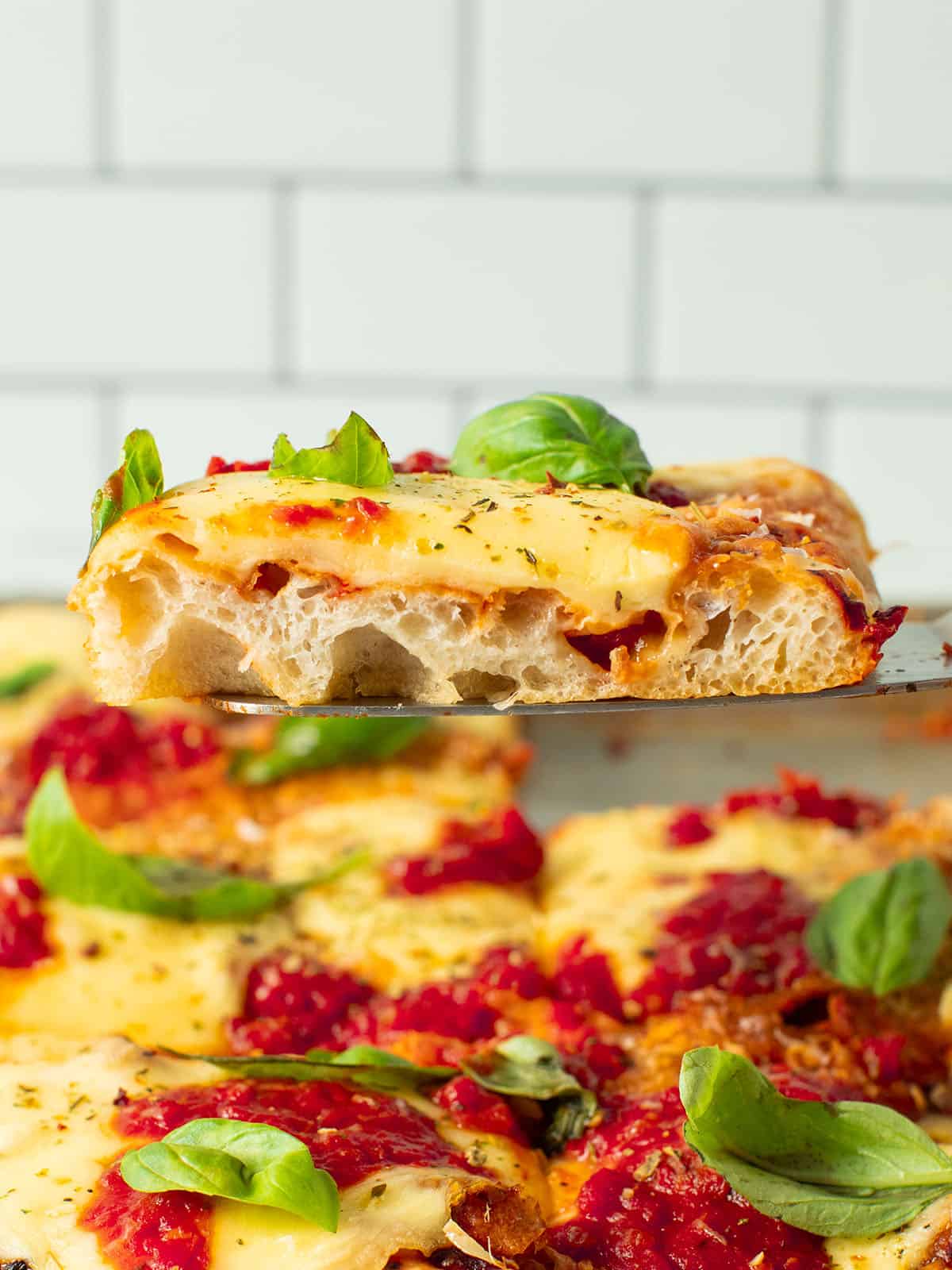 A Taste of Italy Pizza Crusts Variety Kit - Classic, Pan, Pinsa, Sheet -  includes 8 - Imported from Italy