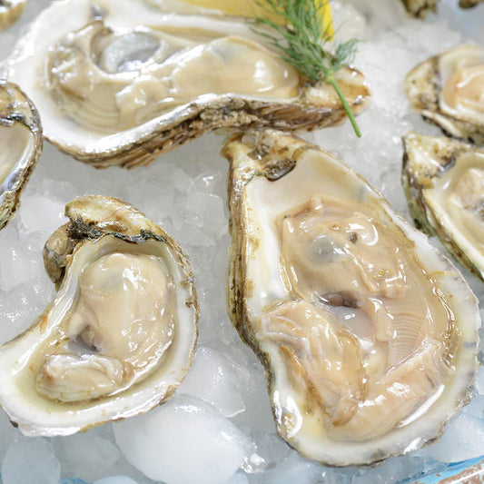 James River Oysters - 25 count