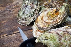 James River Oysters - 25 count