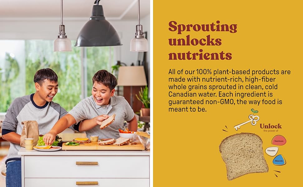 Silver Hills The Big 16 Bread, Low Fat Bread, Made with Organic Sprouted Grains, Non-GMO - Pack of 4