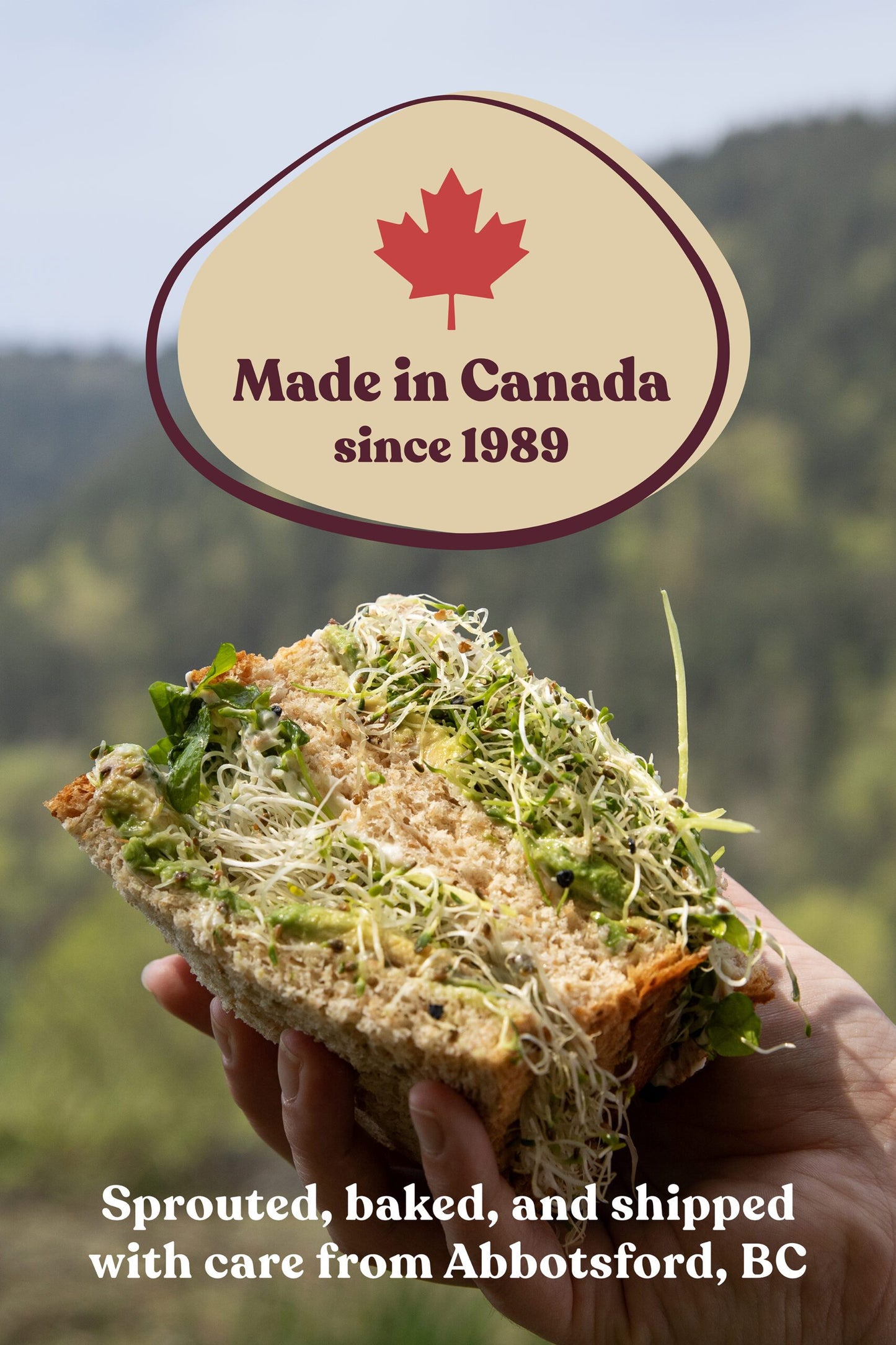 Silver Hills The Big 16 Bread, Low Fat Bread, Made with Organic Sprouted Grains, Non-GMO - Pack of 8