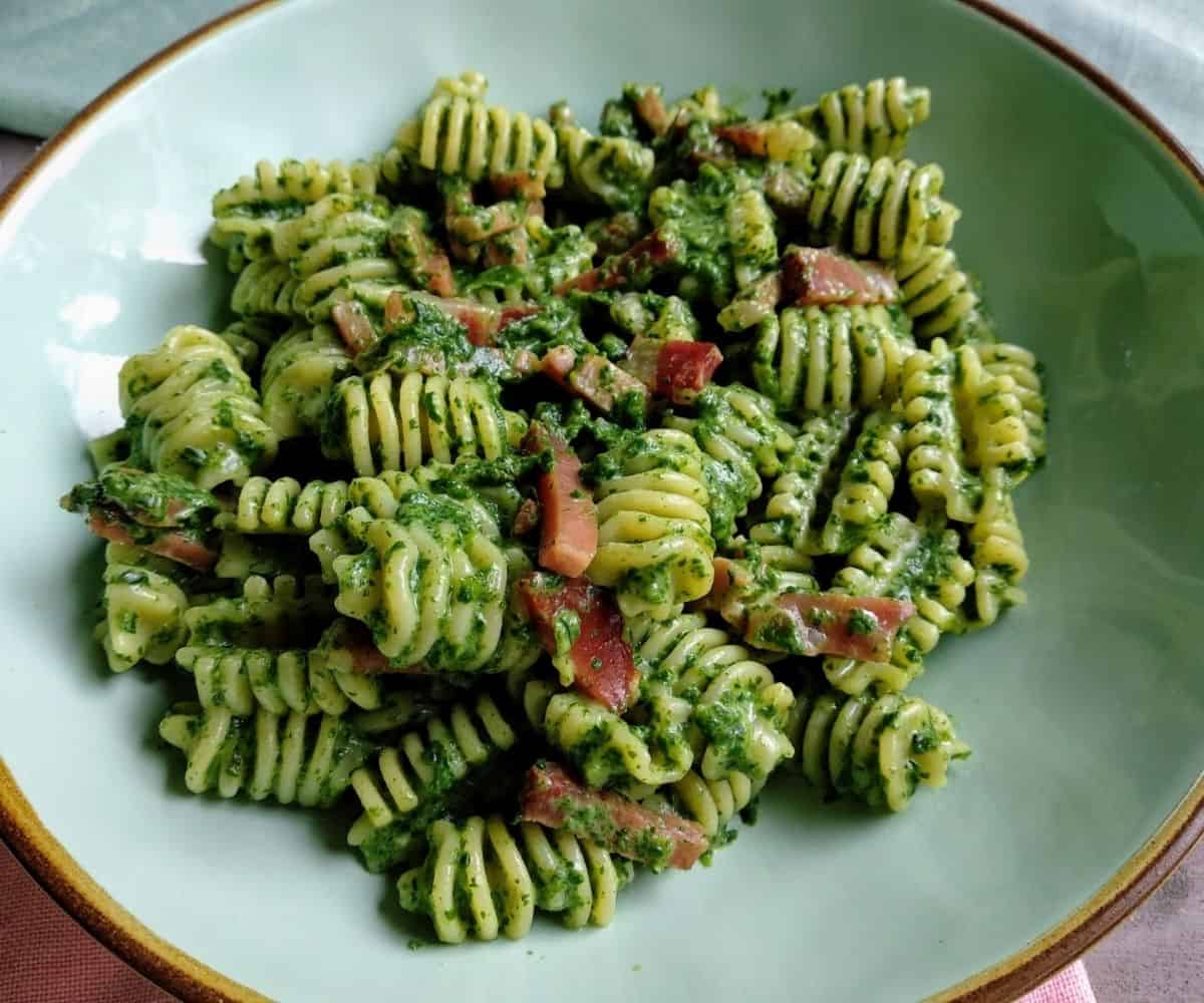 Gourmet Vegan Handmade Fresh Italian Pasta Collection Kit, Non-GMO - Mushroom, Spinach Pastas, Pesto and Tomato Sauce