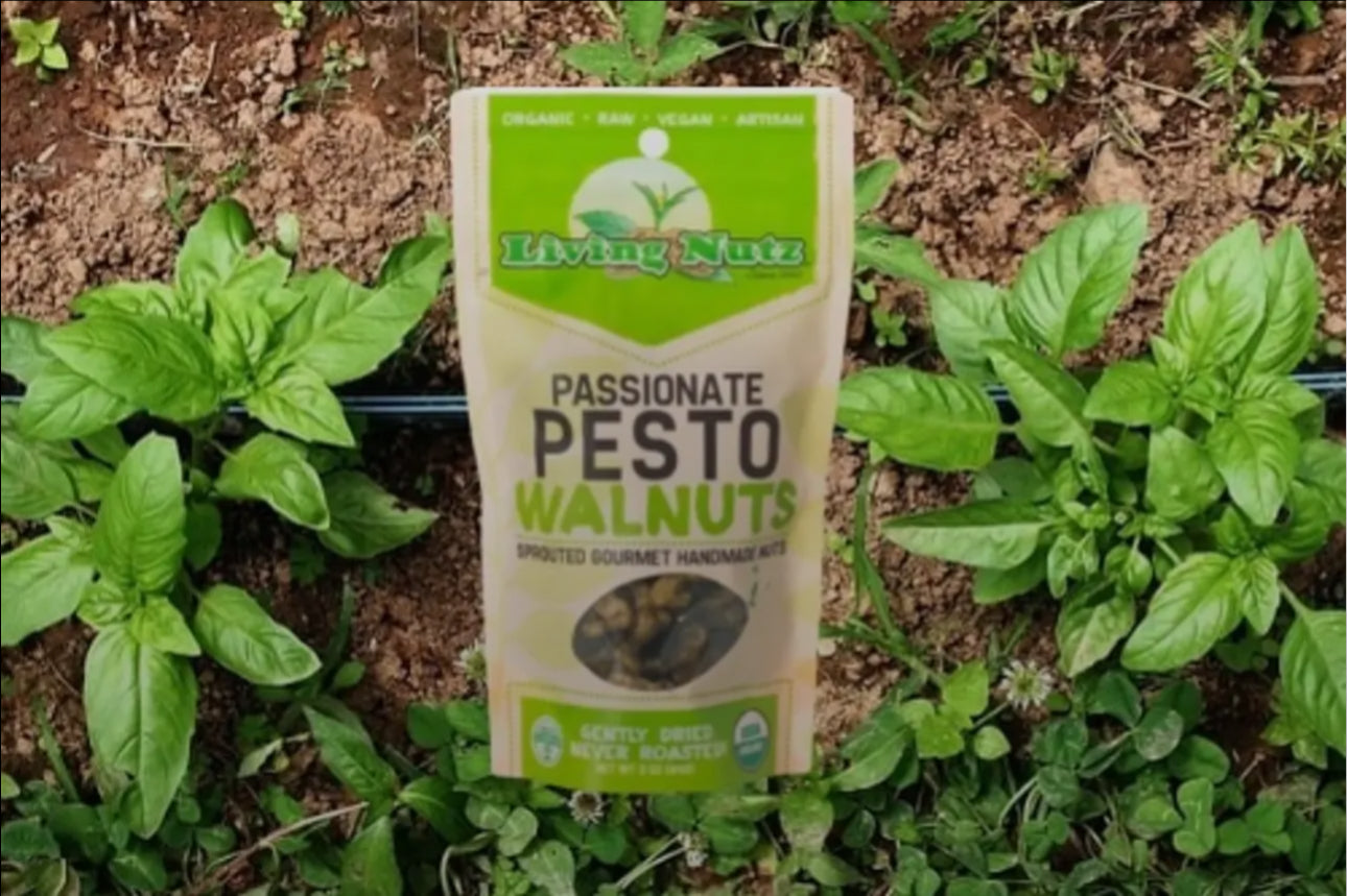 LivingNutz Passionate Pesto Walnuts, Certified Organic Raw Nuts  - Pack of 2
