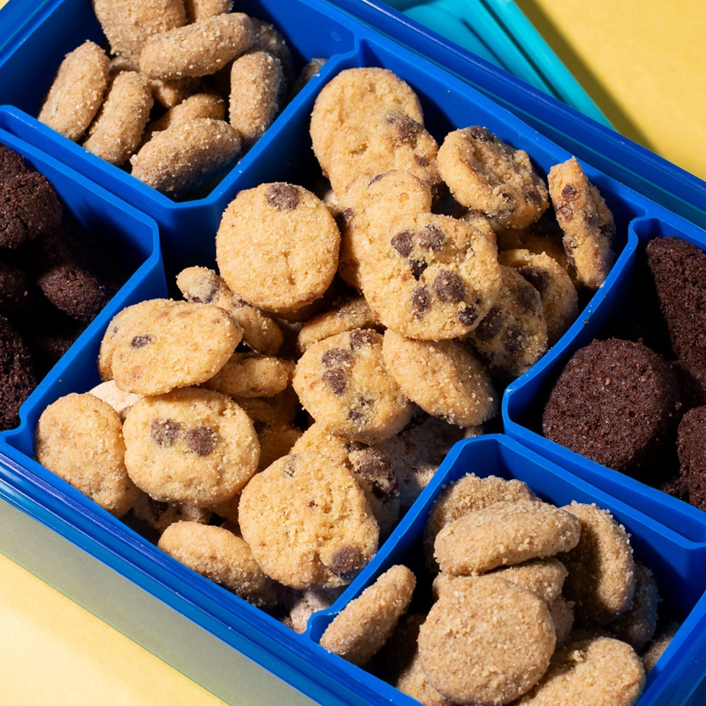 HighKey Sugar Free Cookies Variety Pack - Keto Snacks, No Sugar - Chocolate Chip Cookie, Snickerdoodle, Brownie Bites Low Carb Gluten Free - Pack of 3