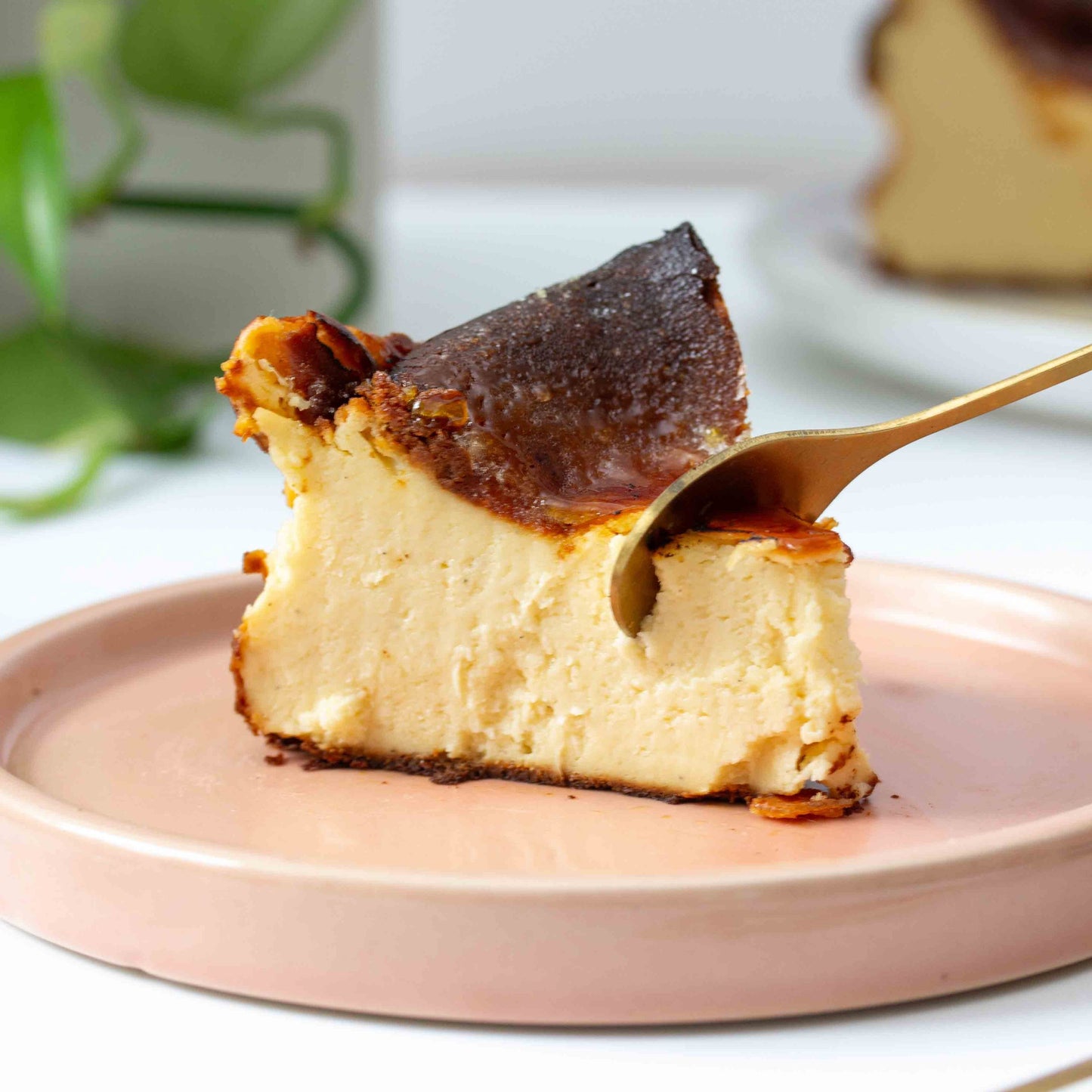Burnt Basque Cheesecake, Serves 8