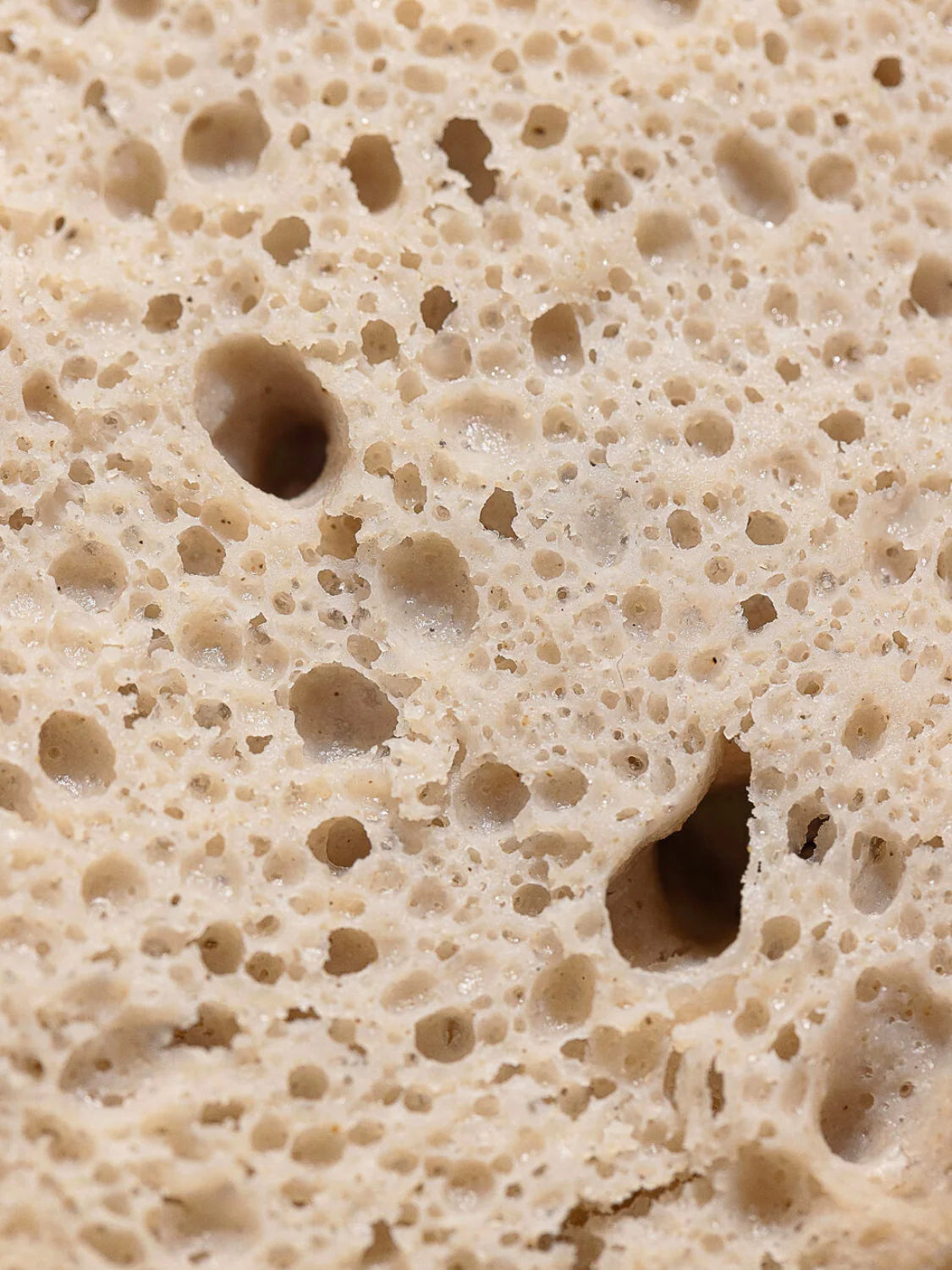 Gluten Free Sourdough Sandwich Rolls, Gum Free, Rice Free - includes 12