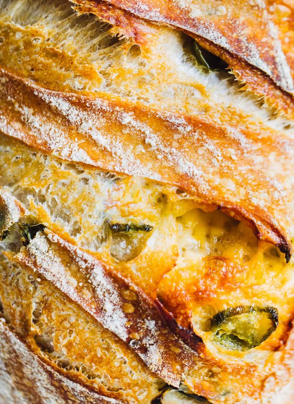 Rustic Sourdough Cheese Bread - Serrano Peppers Jalapeños Chile Cheddar Cheese Artisan Bread, Ancient Grains