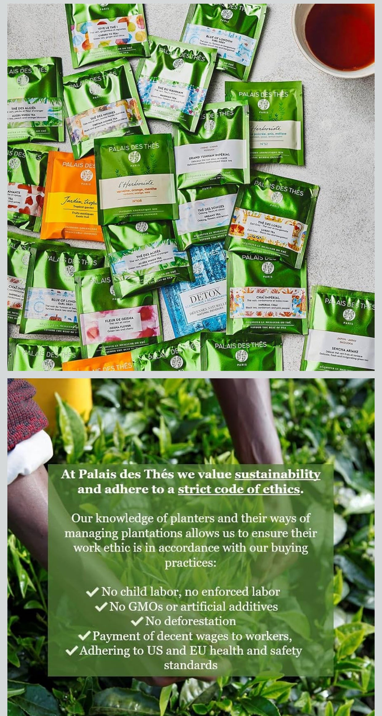 Palais des Thés - Tea Advent Calendar - Holiday Collection | 24 Premium French Delightful Tea Bags | Black, Green, Single Estate, Herbal & Rooibos Teas