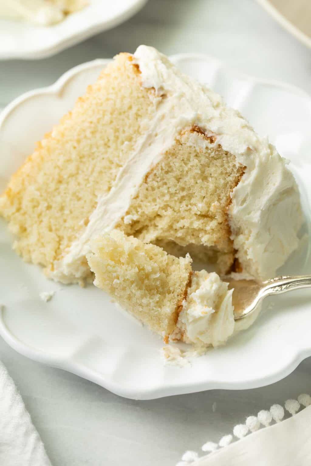 Gluten Free Vanilla Cake Gourmet Cake Mix - Non-GMO, Kosher, Rice Free, Soy Free, Dairy Free, Peanut Free, No Preservatives, No Artificial Flavors or Colors - 19.5 oz