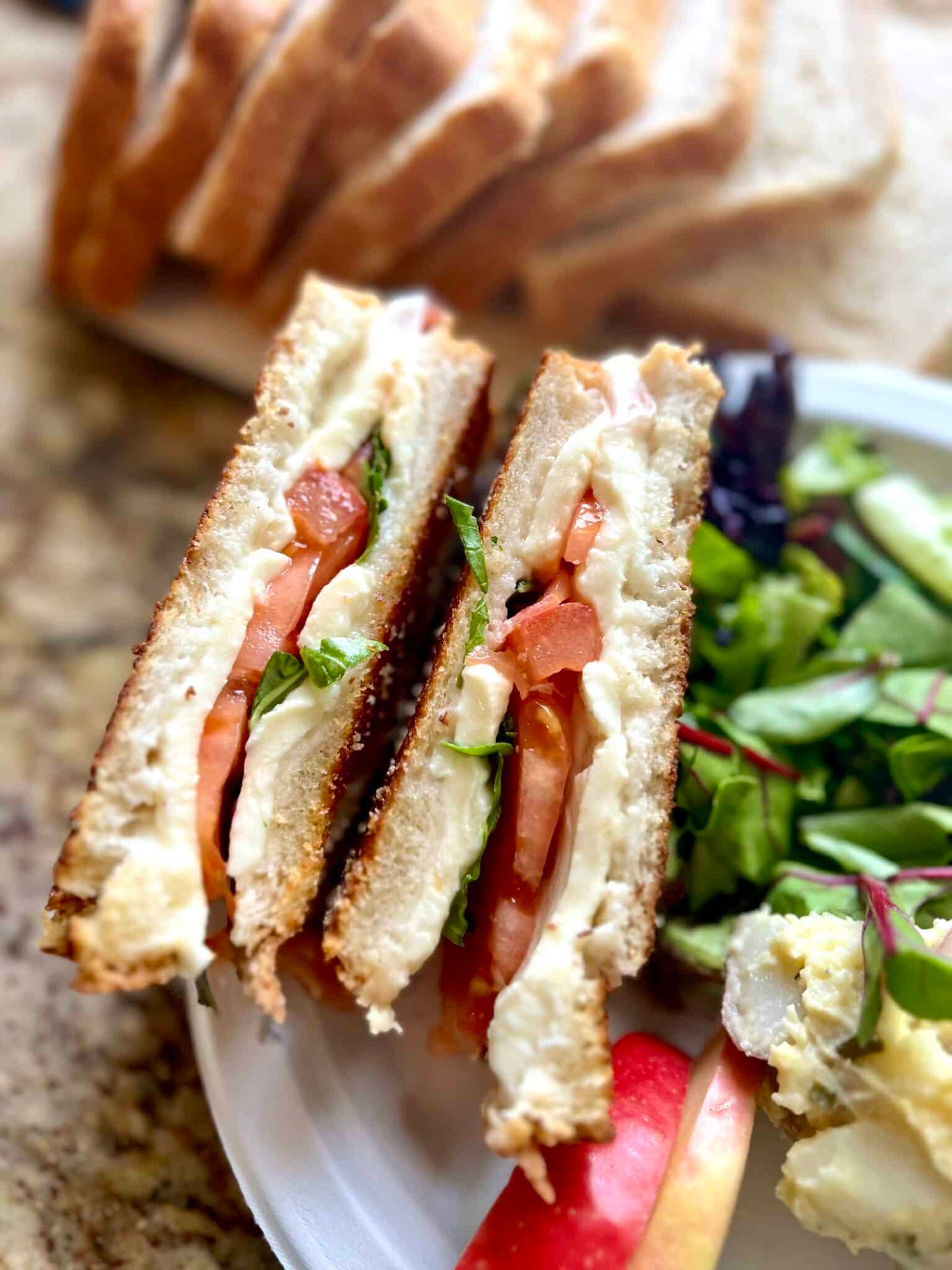 Dr. B's Multigrain Variety Bread, 1g Net Carbs & 7g Protein, Low Calorie, Vegan, Sugar Free, Fresh, Sliced, Keto & Low Carb Bread Loaf, 16 oz - Pack of 6