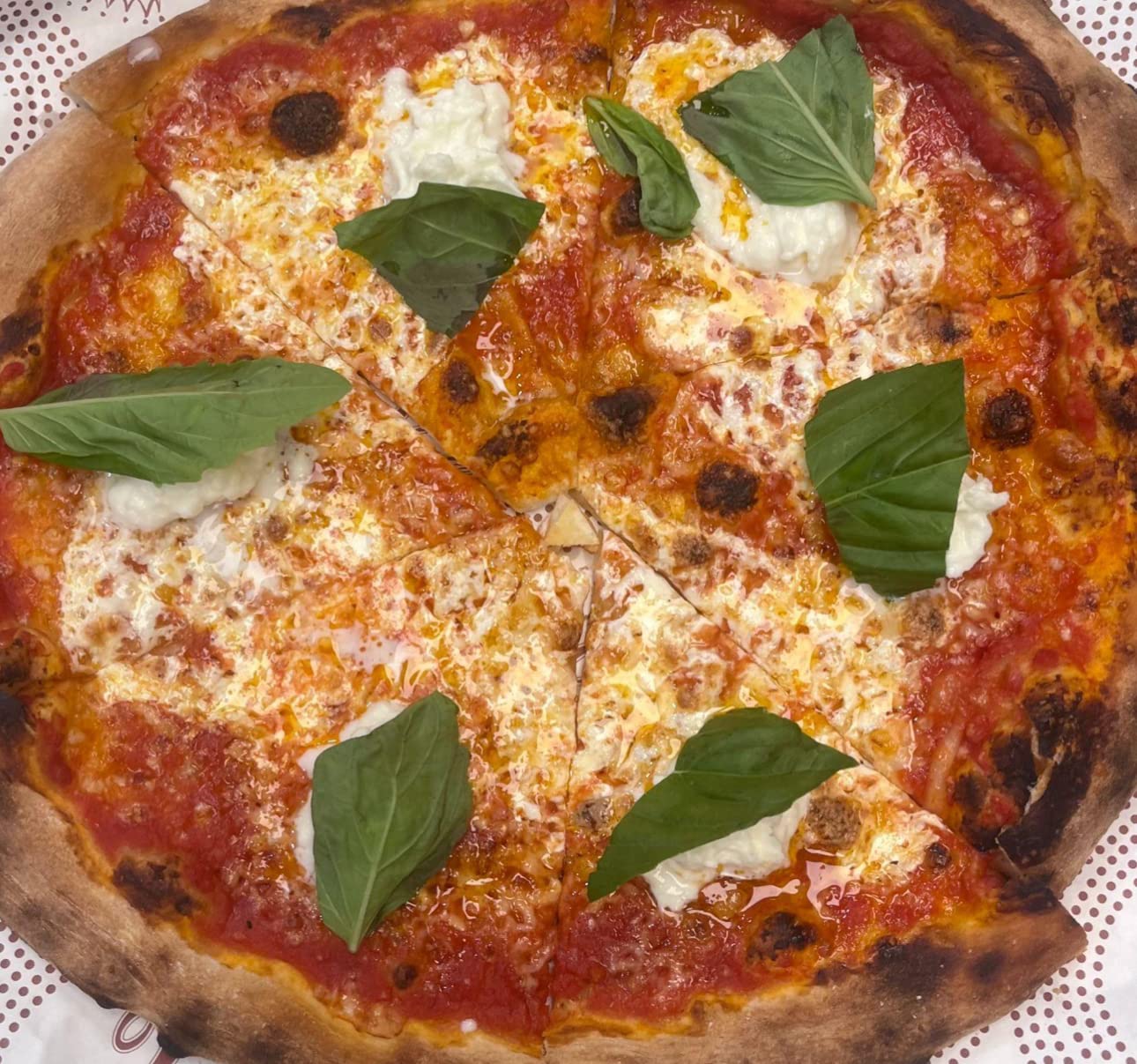 Carbone Pasta Sauce Variety Pack - Gluten Free - Tomato Basil, Marinara, Arrabbiata, Roasted Garlic, Tomato Sauce - Pack of 4