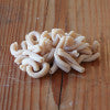 Organic Kamut® Khorasan Wheat Pasta - many noodle shapes available