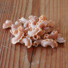 Organic Flavored Pasta - many flavors & pasta shapes available