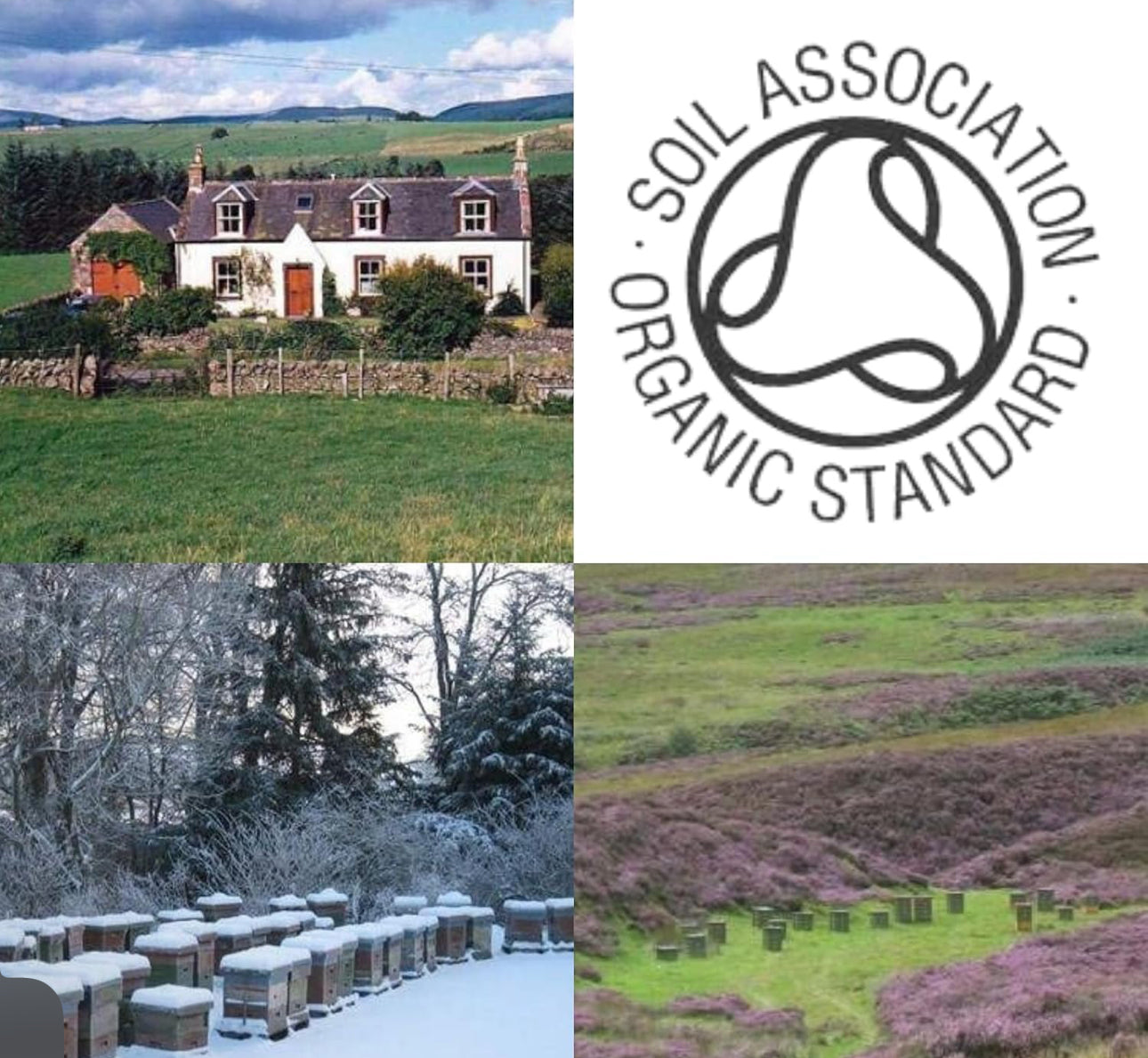 John Mellis Apiaries Scottish Honey, Scottish Blossom Honey, 12oz Jar