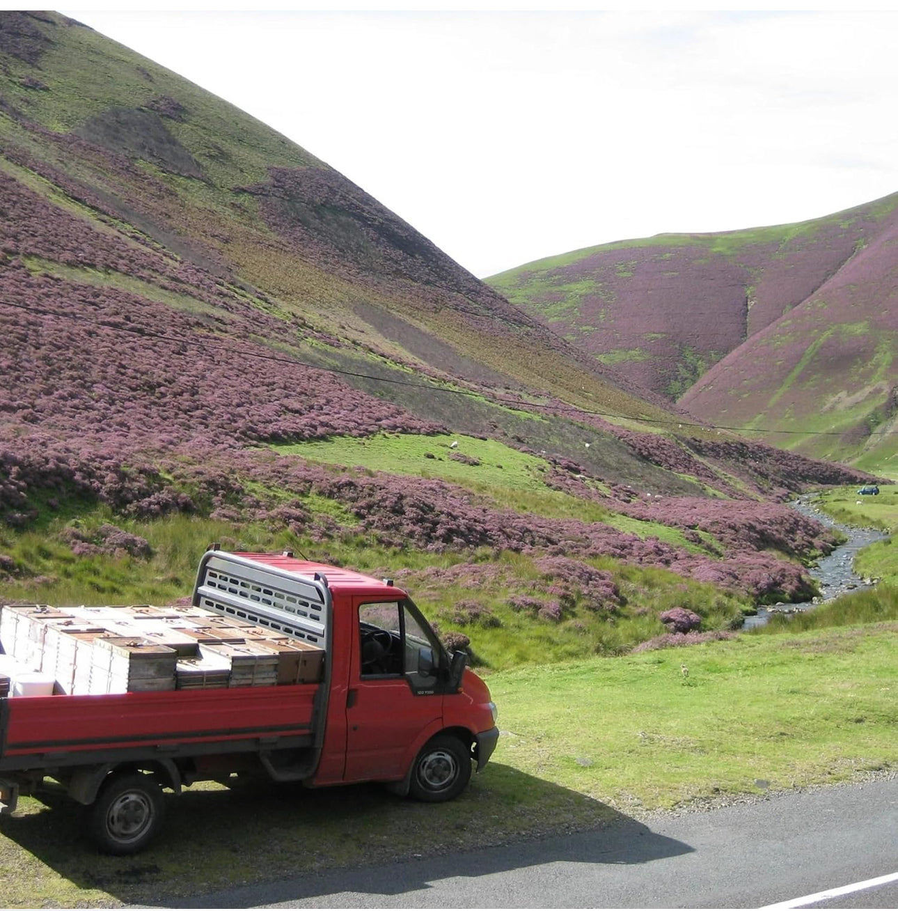 John Mellis Apiaries Scottish Honey, Scottish Blossom Honey, 12oz Jar