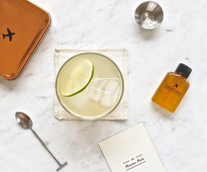 W&P Craft Moscow Mule Cocktail Kit, Mini Portable Carry On Travel Cocktail Kit