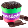 CHOCOLATE SMARTCAKE® SHIPPER BOX, Gluten Free, ZERO CARB of sugar of starch