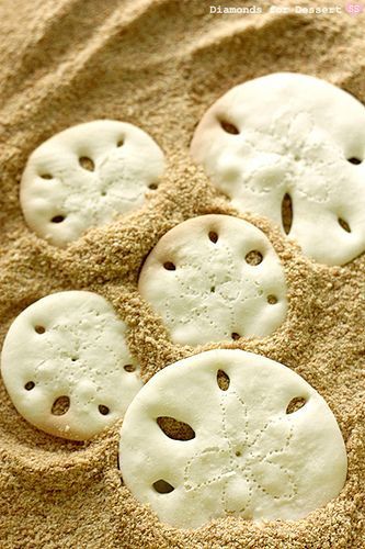 Sand Dollar Sugar Cookies