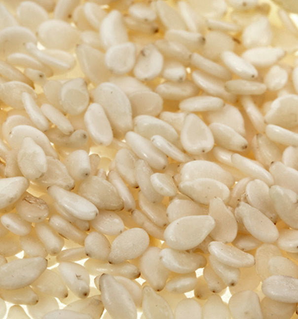 Sprouted Sesame Seed Bagels