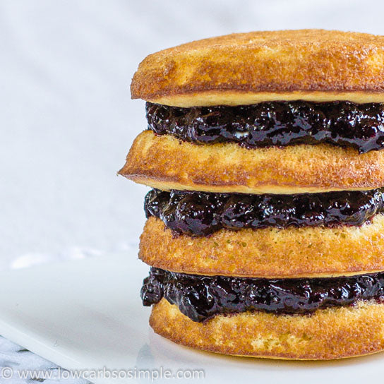 Sugar Free Blueberry Fruit Jam - 10 oz. Jar - XyloBurst