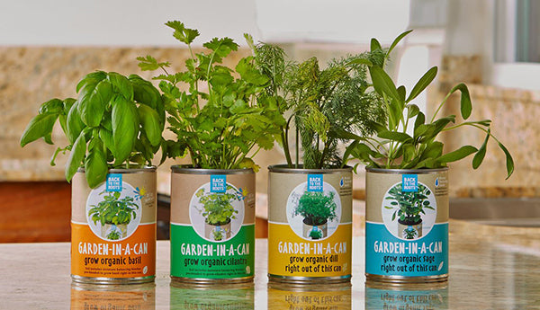 Garden in a Can Set (4-pack) - Basil, Cilantro, Sage & Dill