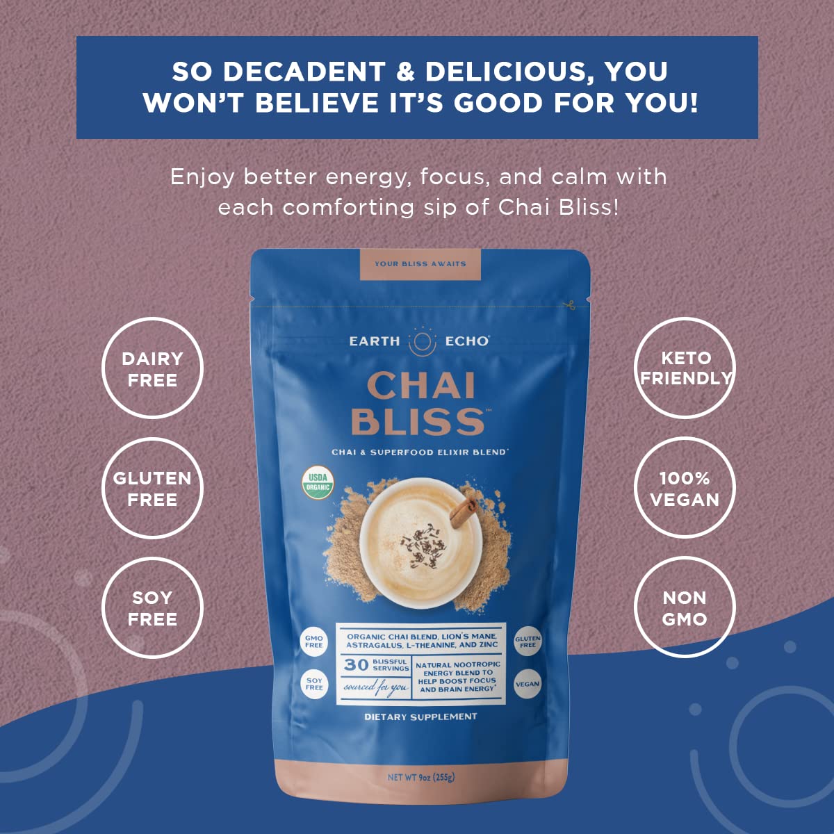 Earth Echo Chai Bliss - Vegan Masala Chai 30 Servings