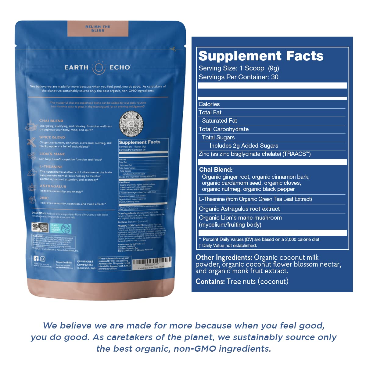 Earth Echo Chai Bliss - Vegan Masala Chai 30 Servings