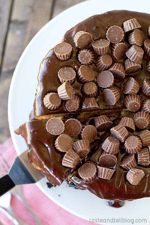 Reese’s Peanut Butter Cheesecake