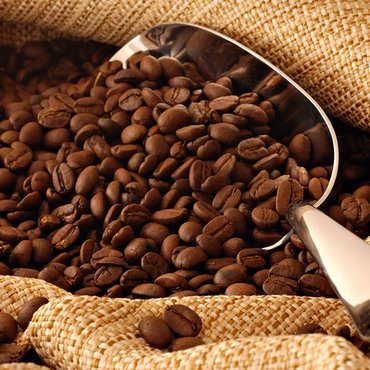 Barista's Choice Bundle - Coffee - Ferris Coffee & Nut