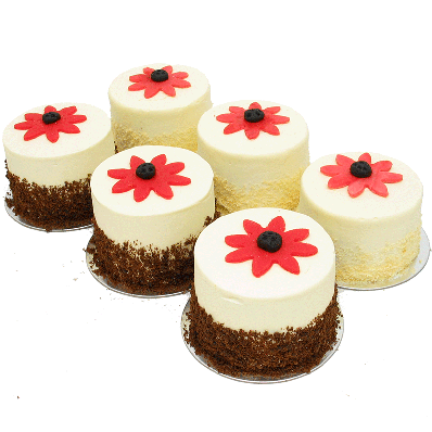 Amazing Daisy Mini Cakes - Six Included