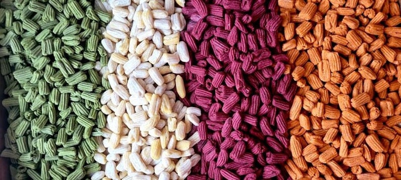 Fresh Mixed Vegetable Cavatelli Pasta - Vegan