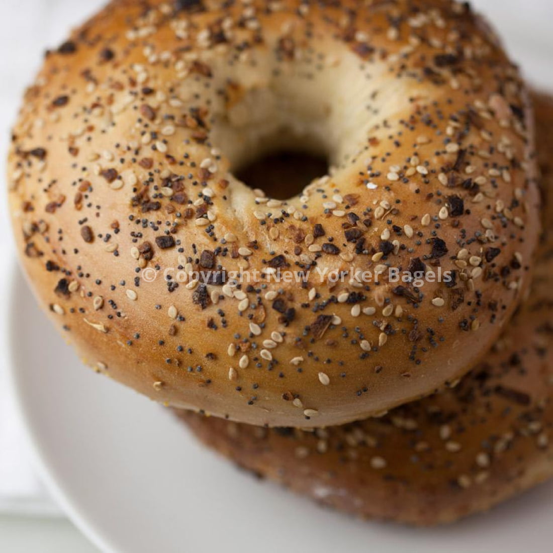 Everything Bagels - 2 Dozen