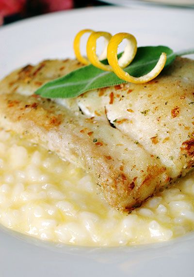 Carolina Black Grouper - per pound