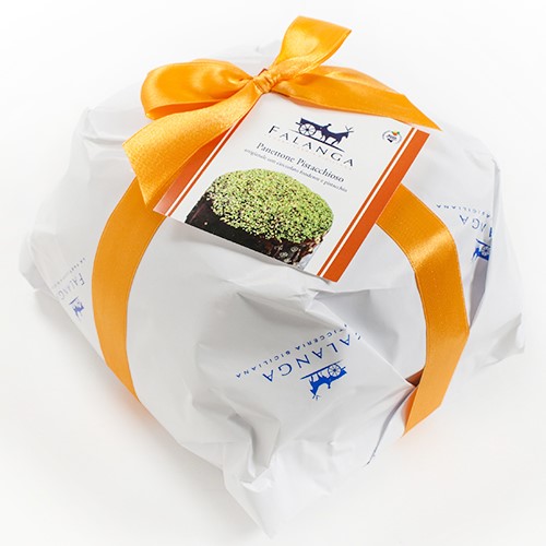 Chocolate Covered Panettone with Pistachio by Falanga
