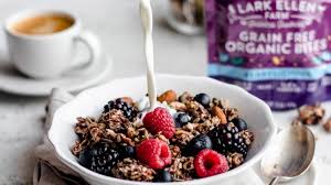 BERRYLICIOUS SPROUTED GRANOLA - 3 Pack - Gluten Free, Grain Free