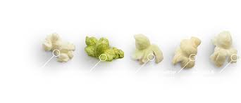 Pop at Home Popcorn Kernels, Unflavored, 28 Ounce, 3 Count