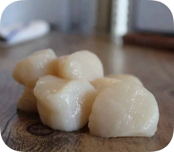 Sea Scallops - 1 lb each - includes 10 packs