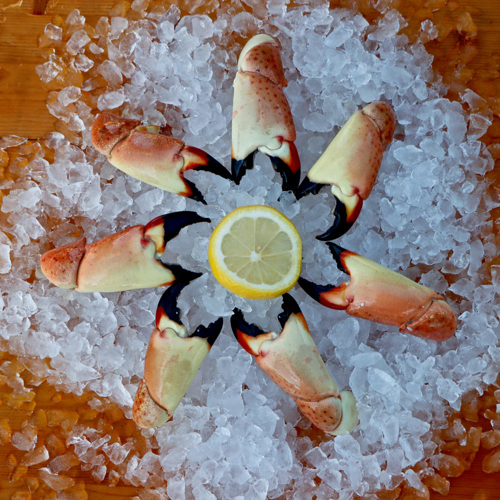 Jumbo Stone Crab Claws Feast Collection, Serves 4